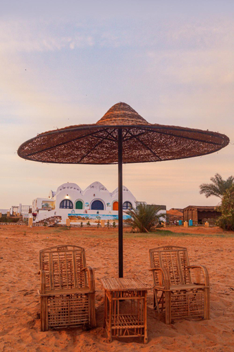 Food & Drinks, Habib Camp, Unorganized in Aswan