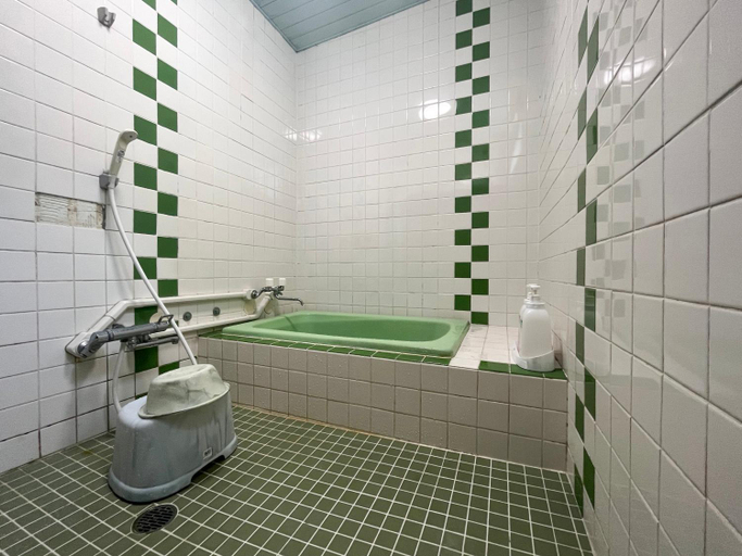 Bathroom 3, Shugyoku no Yu Yakushido Onsen, Ōshū