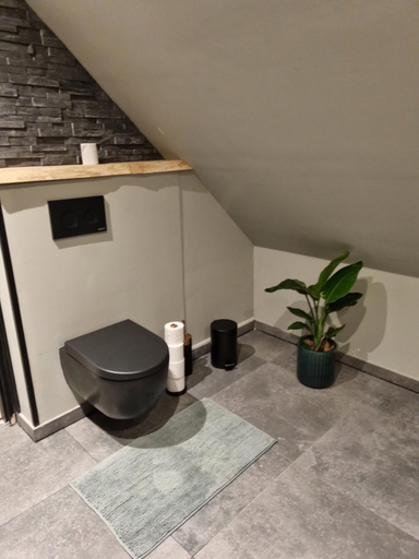 Others 5, B&B in de Roos, Tytsjerksteradiel