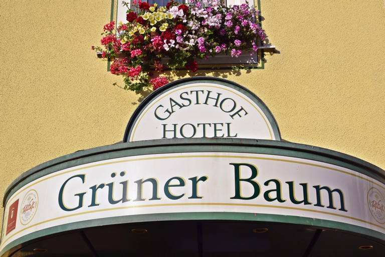 Hotel Gruner Baum, Hof