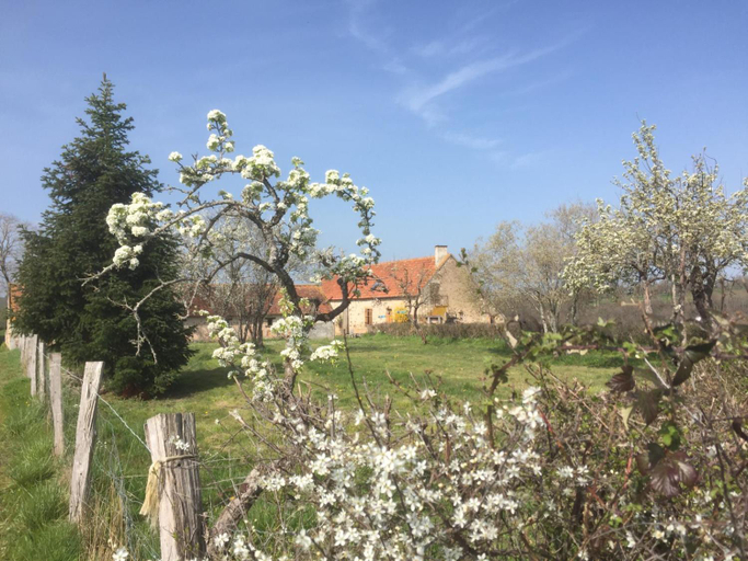 Others 4, chambres d'hotes Domaine les Grands Perons, Allier