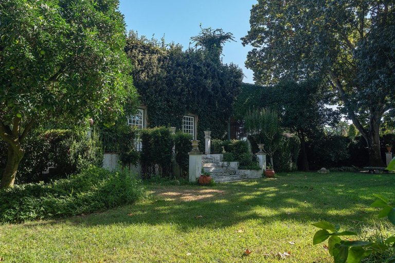 Others 5, Quinta da Torre, Alpiarça