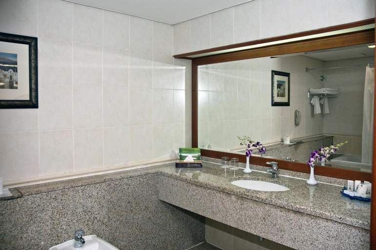 Bathroom 5, Ramee Royal Hotel, Dubai