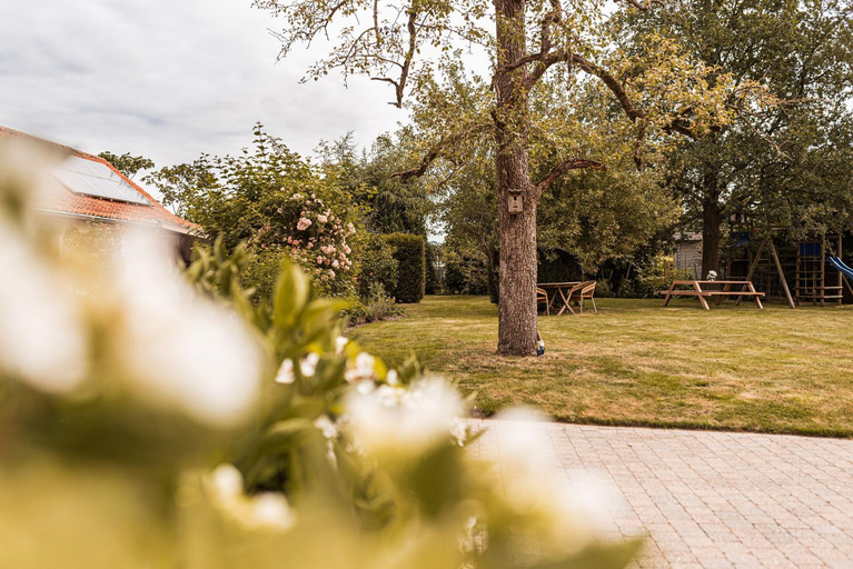 Others 3, B&B Maison Lize, Oost-Vlaanderen