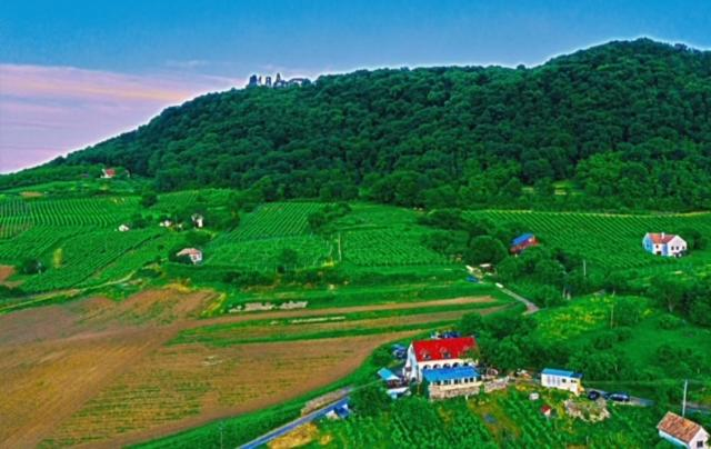 Others 4, Inhauser Pinceszet&Guesthouse&Restaurant, Ajka