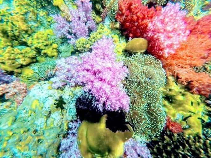 Others 5, DAYA Beach, Lipe local, Muang Satun