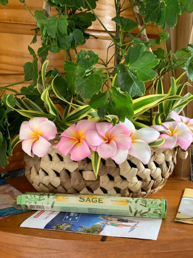 Others 5, TAMANU LODGE