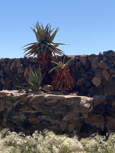 Others 2, 3 ALOES GUESTHOUSE, Daures