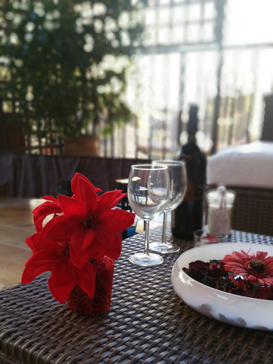 Food & Drinks 5, Pettinary Village B&B, Roma