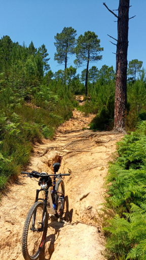 Others 3, Le Parc - Suite climatisee, Aude