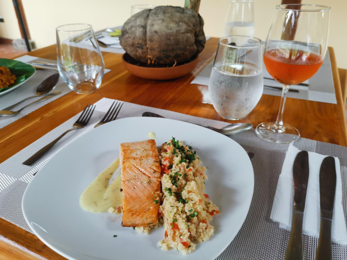 Food & Drinks 5, Gatun Lake Lodge Hotel, La Chorrera