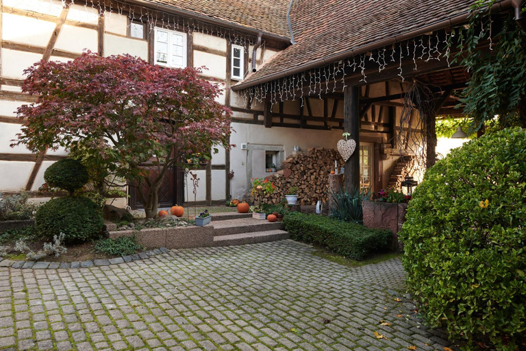 Others 5, La Cour de Lise, Bas-Rhin