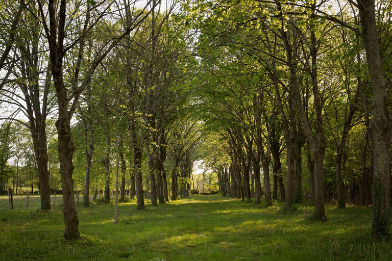 Others 4, Chateau de Bois Charmant, Charente-Maritime