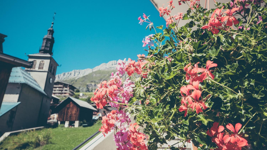 Others 4, Hotel Flor'Alpes, Savoie