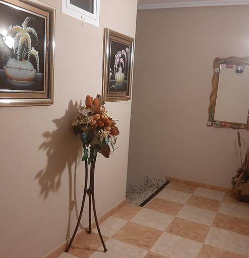 Public Area 5, Hostal Los Amigos, Albacete