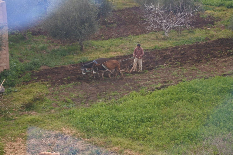 Others 2, Le jardin d'habiba, Béni Mellal