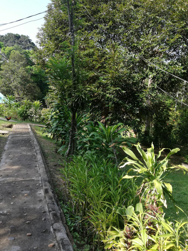 Others 5, Durian Chalet, Jerantut