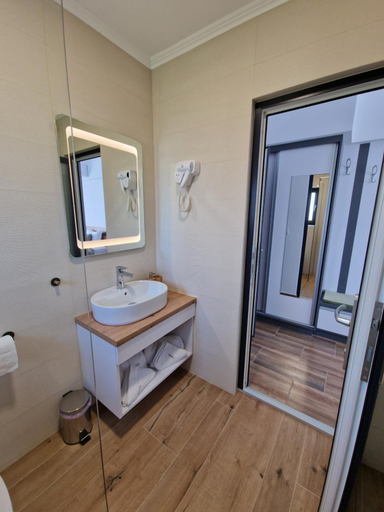 Bathroom 3, Pensiunea Harmony Baile Felix, Sanmartin