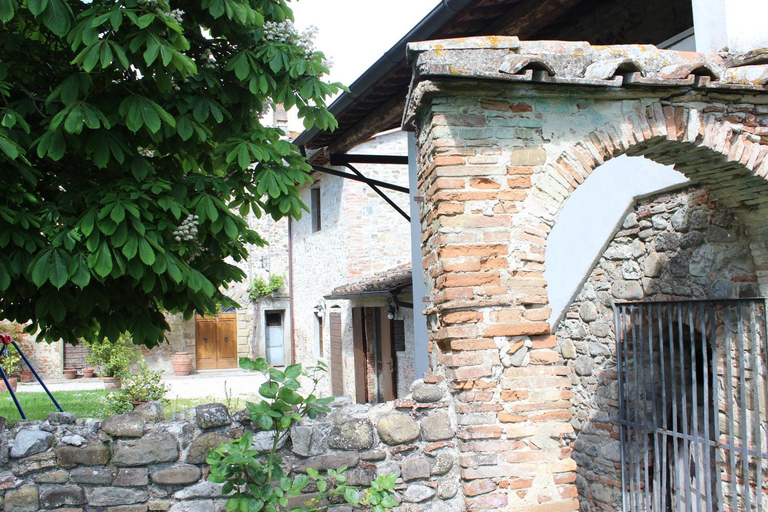 Others 5, La Casa Nova, Arezzo