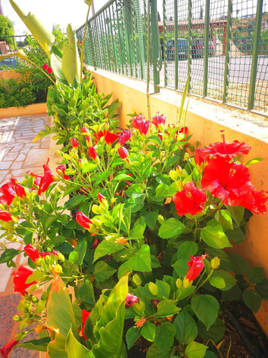 Others 5, Olival Beach Villa with Pool walking distance to Beach, Silves