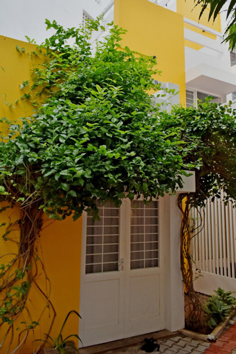Exterior 6