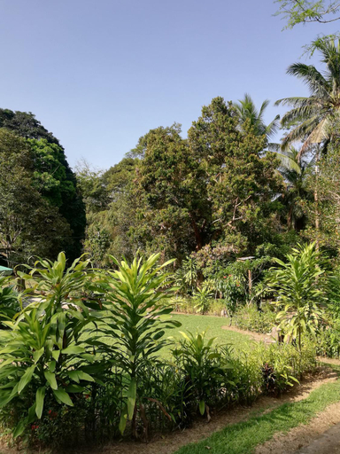 Others 3, Durian Chalet, Jerantut