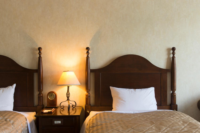 Bedroom 3, Blue Ridge Hotel, Toyooka