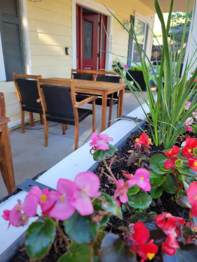 Others 3, 303 BnB Inn Flagstaff, Coconino