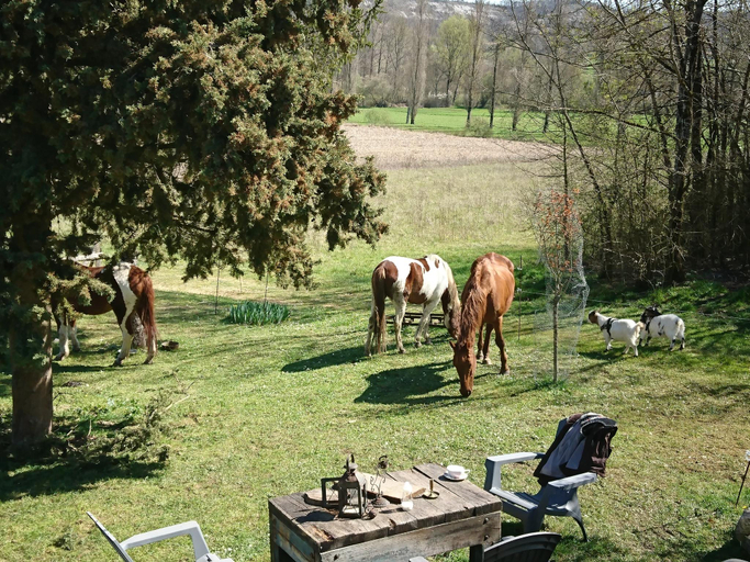 Others 4, Comfortable Quiet House in the countryside Porte-du-Quercy for 8 people, Lot