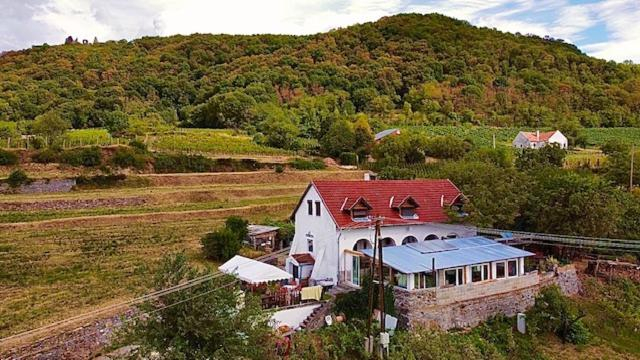 Others 5, Inhauser Pinceszet&Guesthouse&Restaurant, Ajka