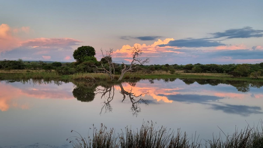 Others 4, Bushwa Private Game Lodge, Waterberg
