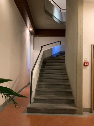 Others 4, Signoria Apartment with patio, Florence