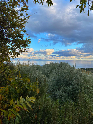 Scenery 5