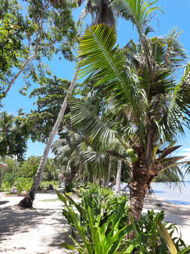 Others 4, Eastwind Beach Villas, El Nido