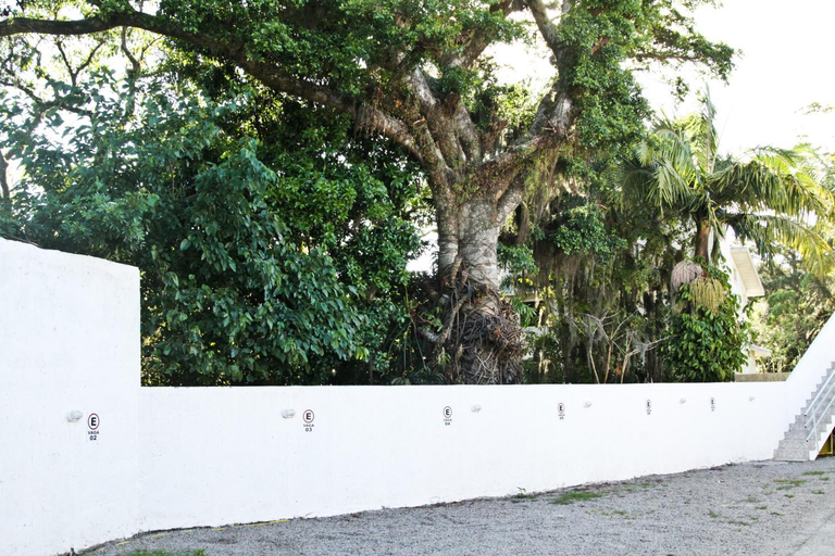 Others 2, Pousada Dona Alice, Florianopolis