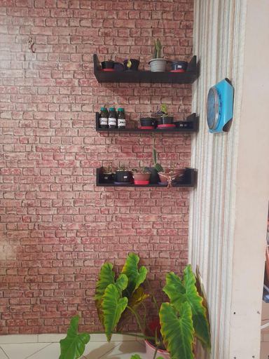 Others 4, Verdes Hostel, Palmas