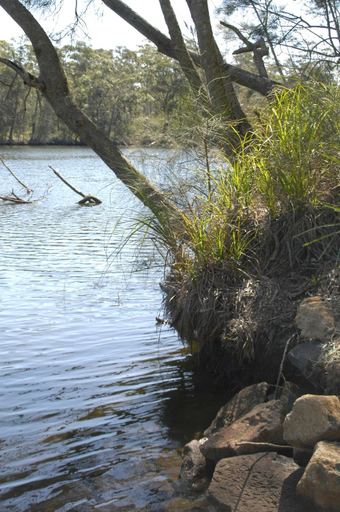 Others 2, Bewong River Retreat, Shoalhaven - Pt B
