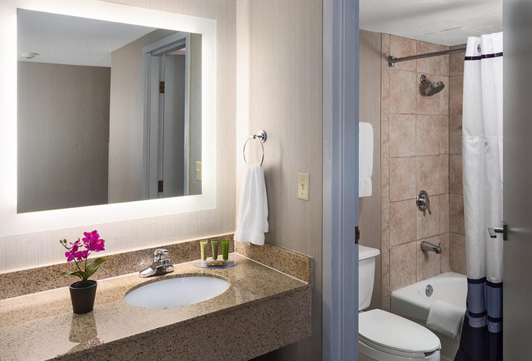 Bathroom 4, Lake Okoboji Resort and Conference Center, Dickinson