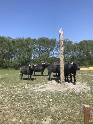 Others 2, Silte Siglajvs 147, Gotland