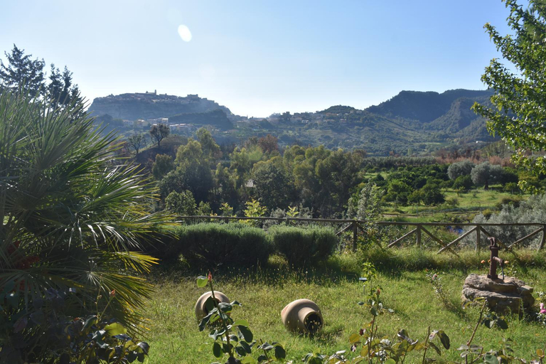 Others 4, Azienda Agrituristica Biologica Il Querceto, Crotone