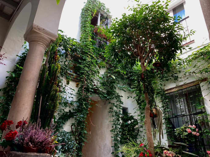 Exterior & Views 1, Casa de Huespedes Santa Maria, Cádiz