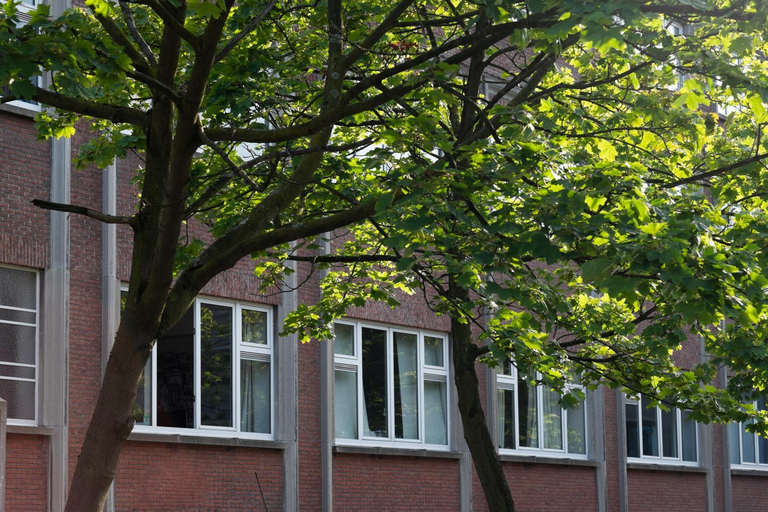 Others 5, B&B Tempelhof, Oost-Vlaanderen