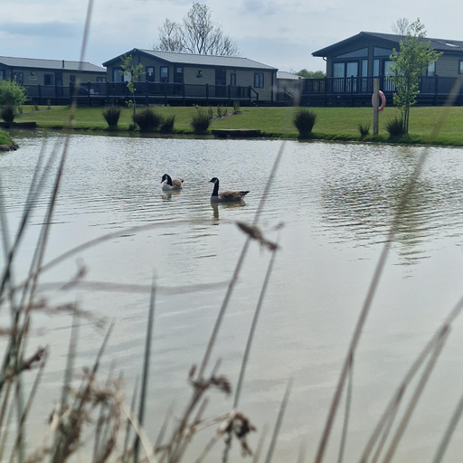 Others 5, Home Farm Park - Caravans & Lodges without Hot tubs, Lincolnshire