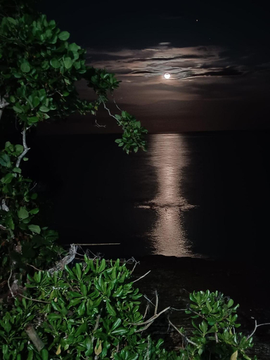 3, Blue Raven Resort, Anda