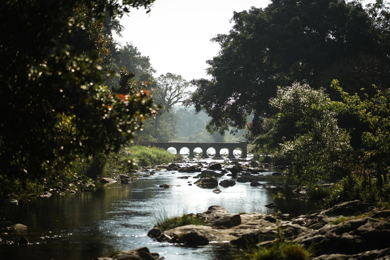 Others 4, Agraharam Resort, Wayanad
