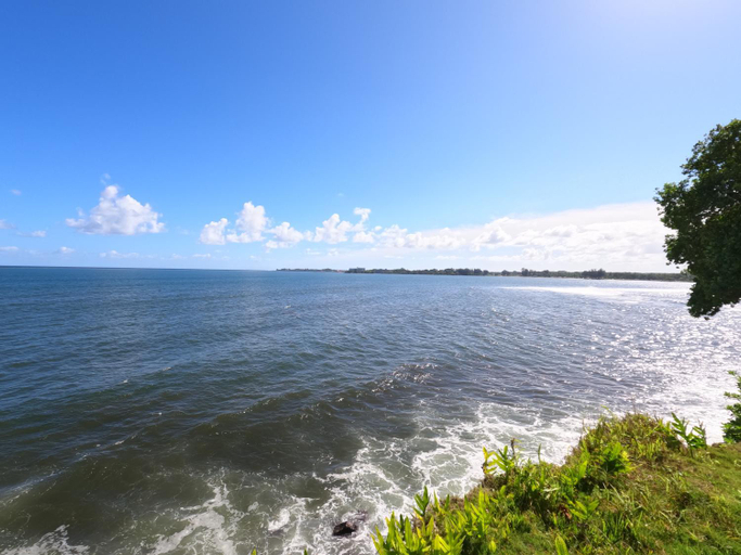 Others 4, Hilo Bay Oceanfront Bed and Breakfast, Hawaii