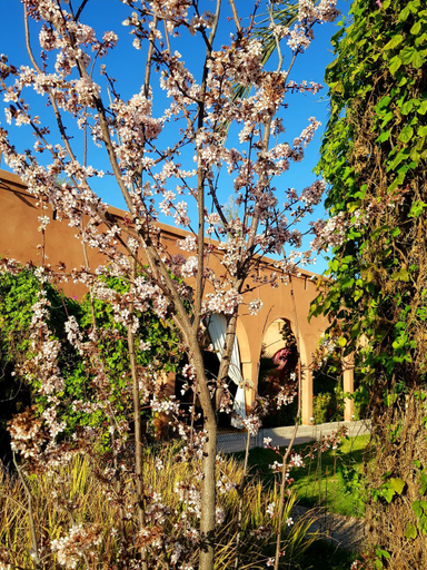 Garden 2, Ksar Salha, Al Haouz