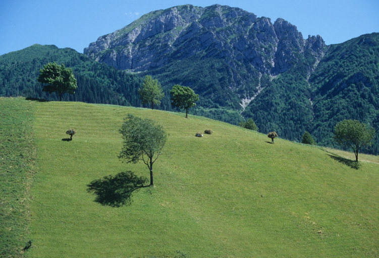 Others 5, Albergo Belvedere, Brescia
