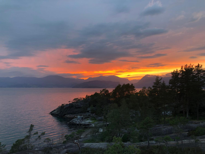Others 4, Hardanger Rom & Harmonium "The Green B&B", Jondal