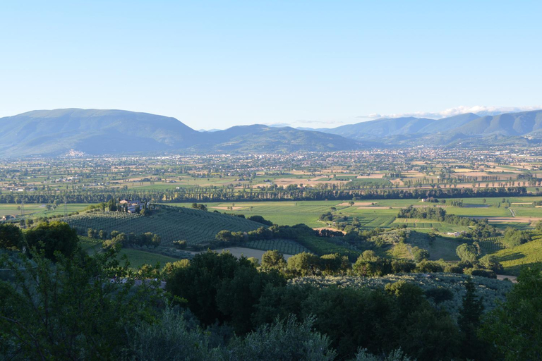 Others 5, A Casa Di Mi Appartamenti vacanza, Perugia